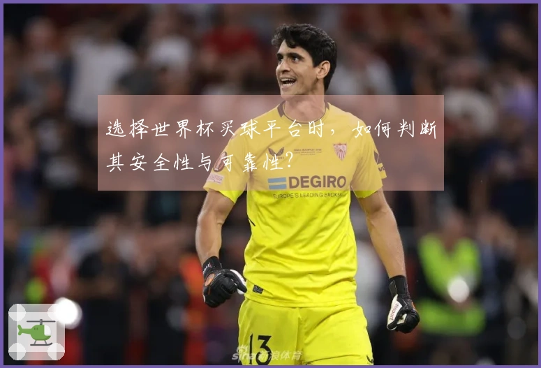 选择世界杯买球平台时，如何判断其安全性与可靠性？