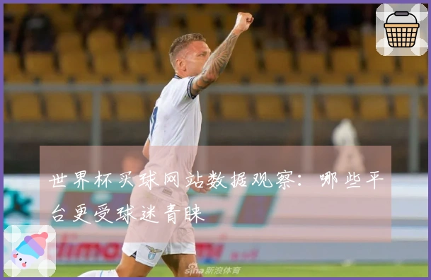 世界杯买球网站数据观察：哪些平台更受球迷青睐