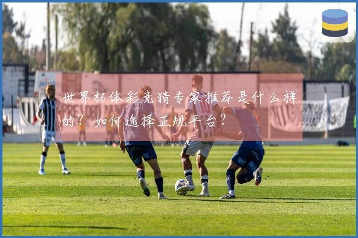 世界杯体彩竞猜专家推荐是什么样的？如何选择正规平台？