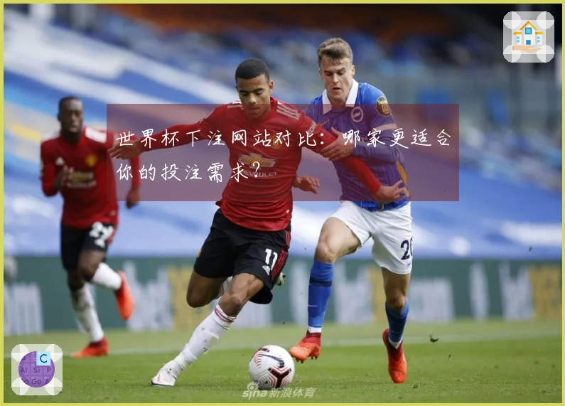 世界杯下注网站对比：哪家更适合你的投注需求？