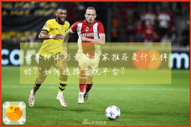 世界杯体彩竞猜专家推荐是什么样的？如何选择正规平台？