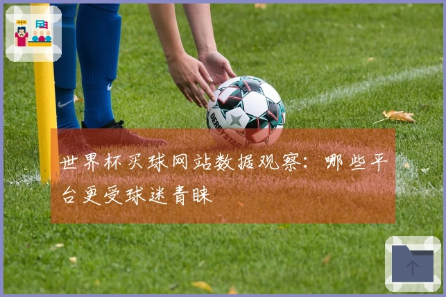 世界杯买球网站数据观察：哪些平台更受球迷青睐