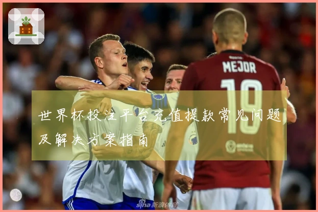 世界杯投注平台充值提款常见问题及解决方案指南